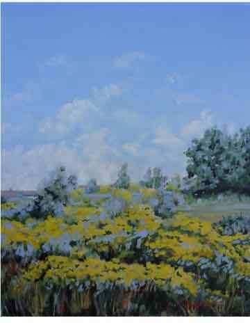 Campo con fiori gialli